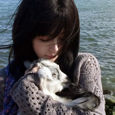 流星花园剧场版海报